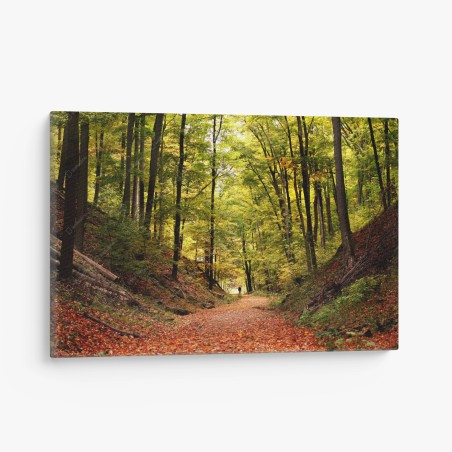 Quadro su tela sentiero dorato nel bosco autunnale • Wallissimo®