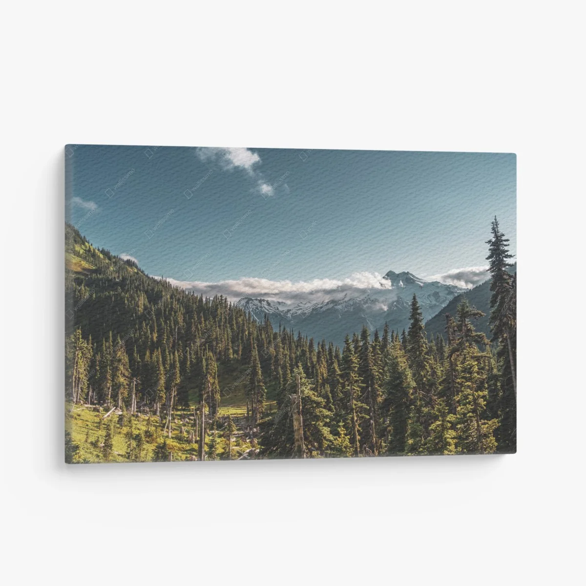 Quadro su tela panorama montano tra pini e cime innevate • Wallissimo® Quadro su tela panorama montano tra pini e cime innevate • Wallissimo®