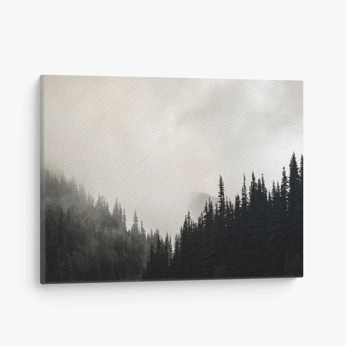 Quadro su tela nebbia tra le conifere • Wallissimo®