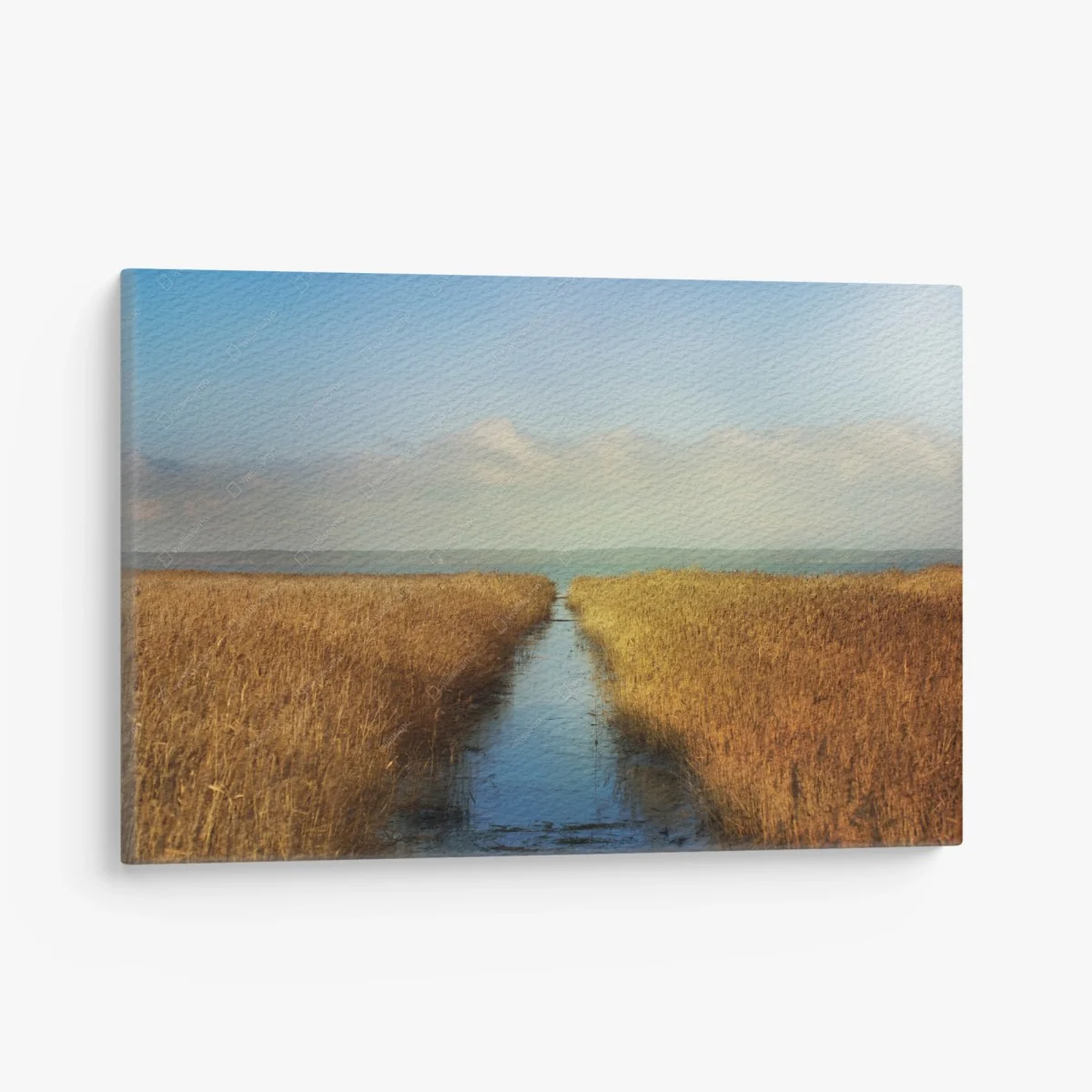 Quadro su tela via d'acqua tra i canneti dorati • Wallissimo® Quadro su tela via d'acqua tra i canneti dorati • Wallissimo®