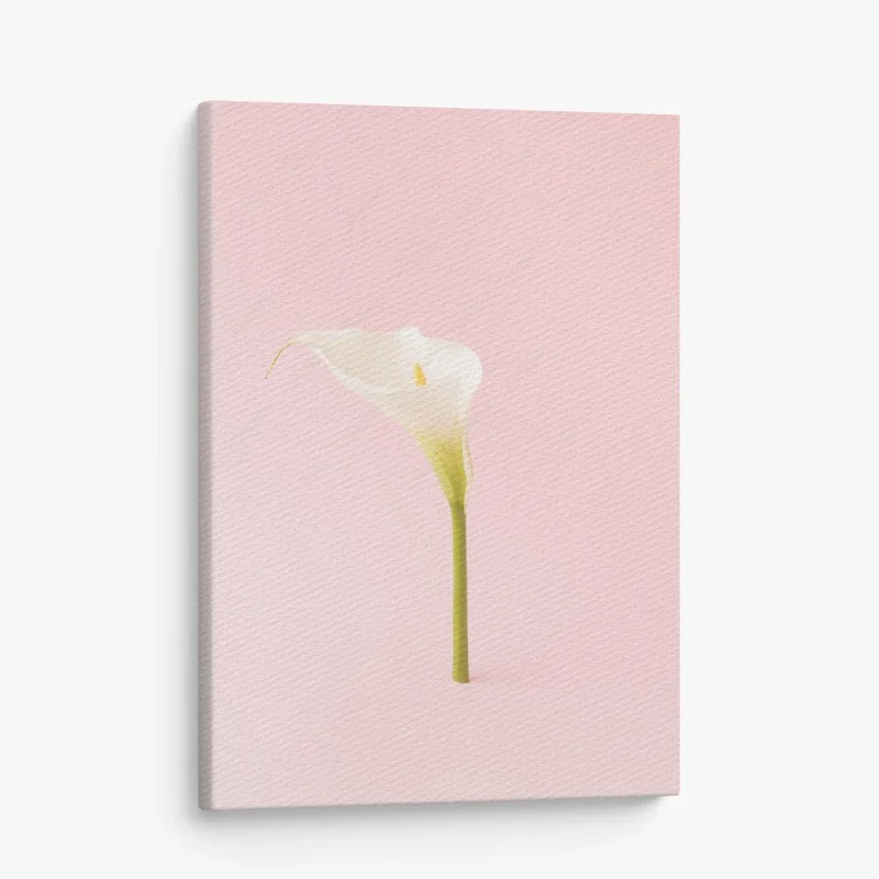 Quadro su tela calla bianca su sfondo rosa minimalista