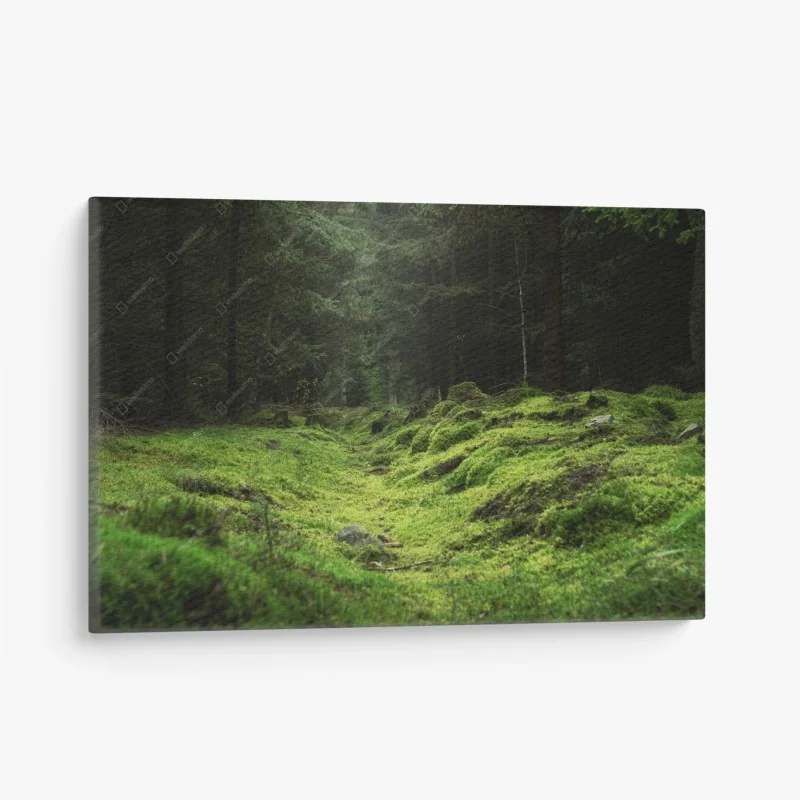 Quadro su tela bosco di muschio: scena verde e misteriosa