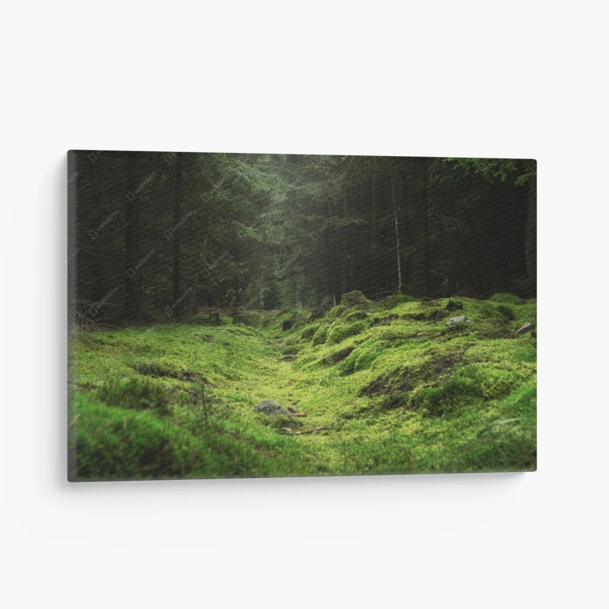 Quadro su tela bosco di muschio: scena verde e misteriosa • Wallissimo® Quadro su tela bosco di muschio: scena verde e misteriosa • Wallissimo®