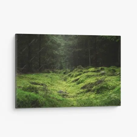 Quadro su tela bosco di muschio: scena verde e misteriosa • Wallissimo®