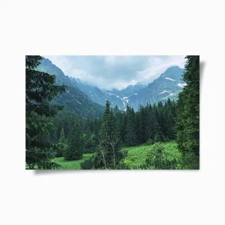 Poster paesaggio montano tra boschi e vette • Wallissimo®