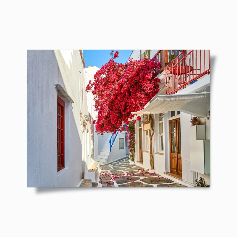Poster vicoletto fiorito con bougainvillea