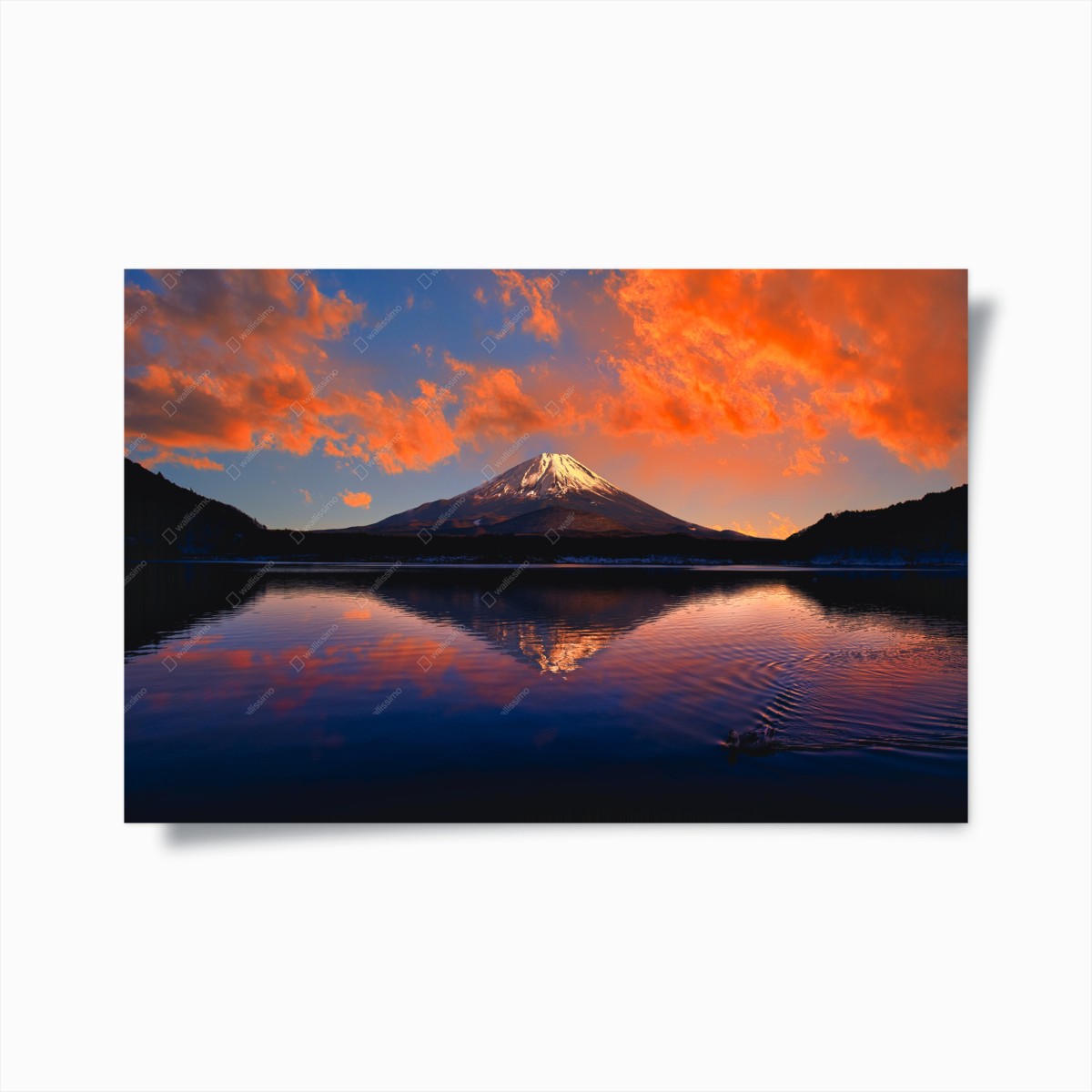 Poster tramonto fiammeggiante sul Monte Fuji • Wallissimo® Poster tramonto fiammeggiante sul Monte Fuji • Wallissimo®