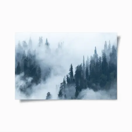 Poster foresta di conifere nella nebbia • Wallissimo®