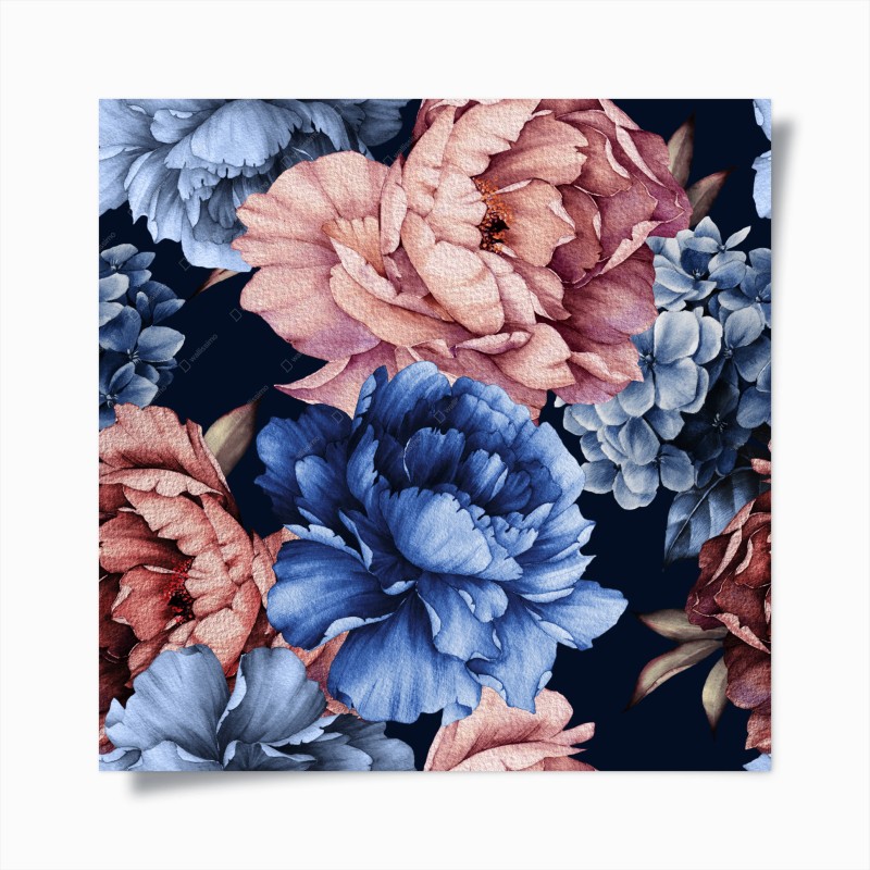 Poster peonie acquerello su fondo blu notte