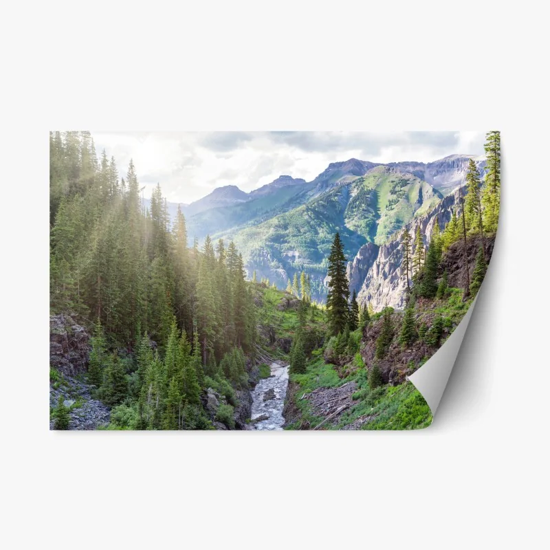 Adesivo riposizionabile panorama montano tra pini e gole