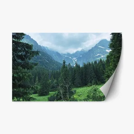 Adesivo riposizionabile paesaggio montano tra boschi e vette • Wallissimo®