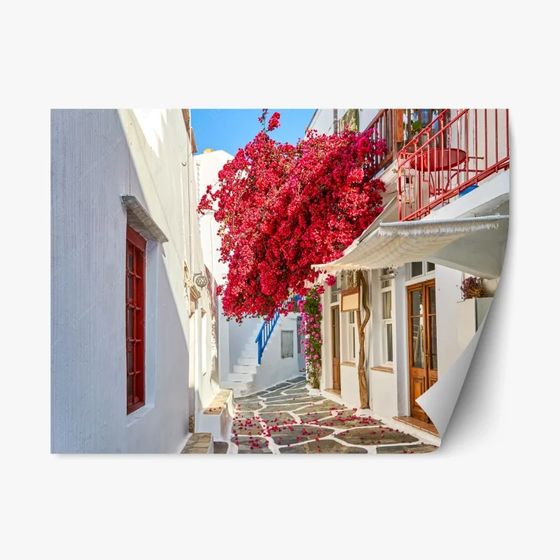 Adesivo riposizionabile vicoletto fiorito con bougainvillea