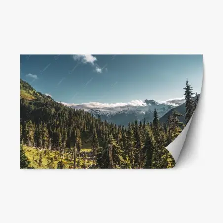 Adesivo riposizionabile panorama montano tra pini e cime innevate • Wallissimo®