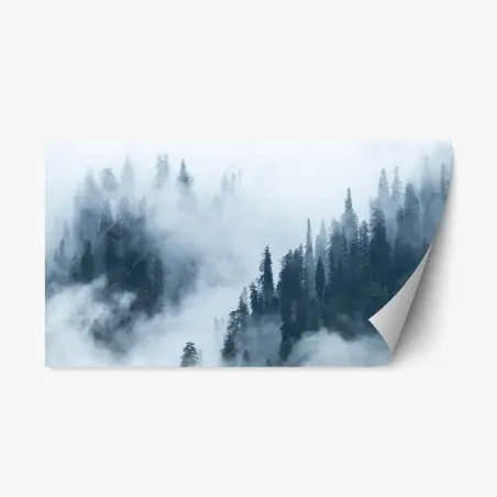 Adesivo riposizionabile foresta di conifere nella nebbia • Wallissimo®