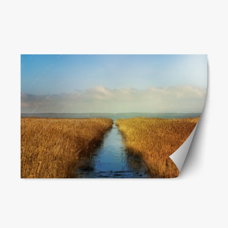 Adesivo riposizionabile via d'acqua tra i canneti dorati