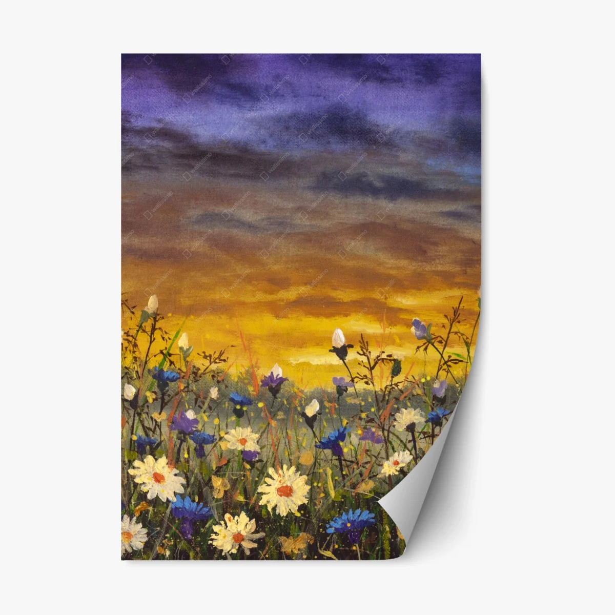 Adesivo riposizionabile campo di margherite al tramonto in stile impressionista • Wallissimo® Adesivo riposizionabile campo di margherite al tramonto in stile impressionista • Wallissimo®