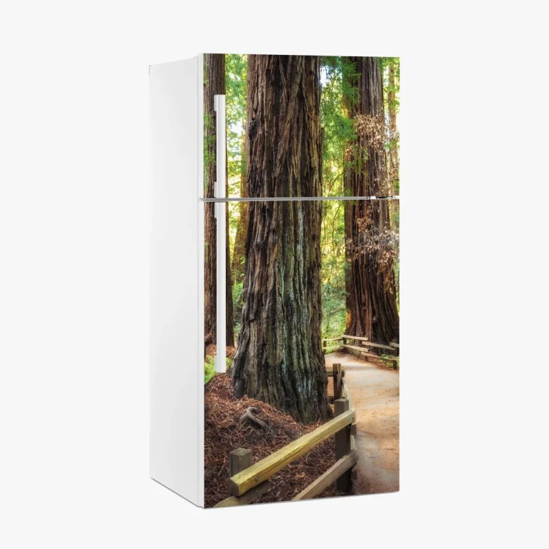 Adesivo per frigorifero sentiero tra le maestose sequoie