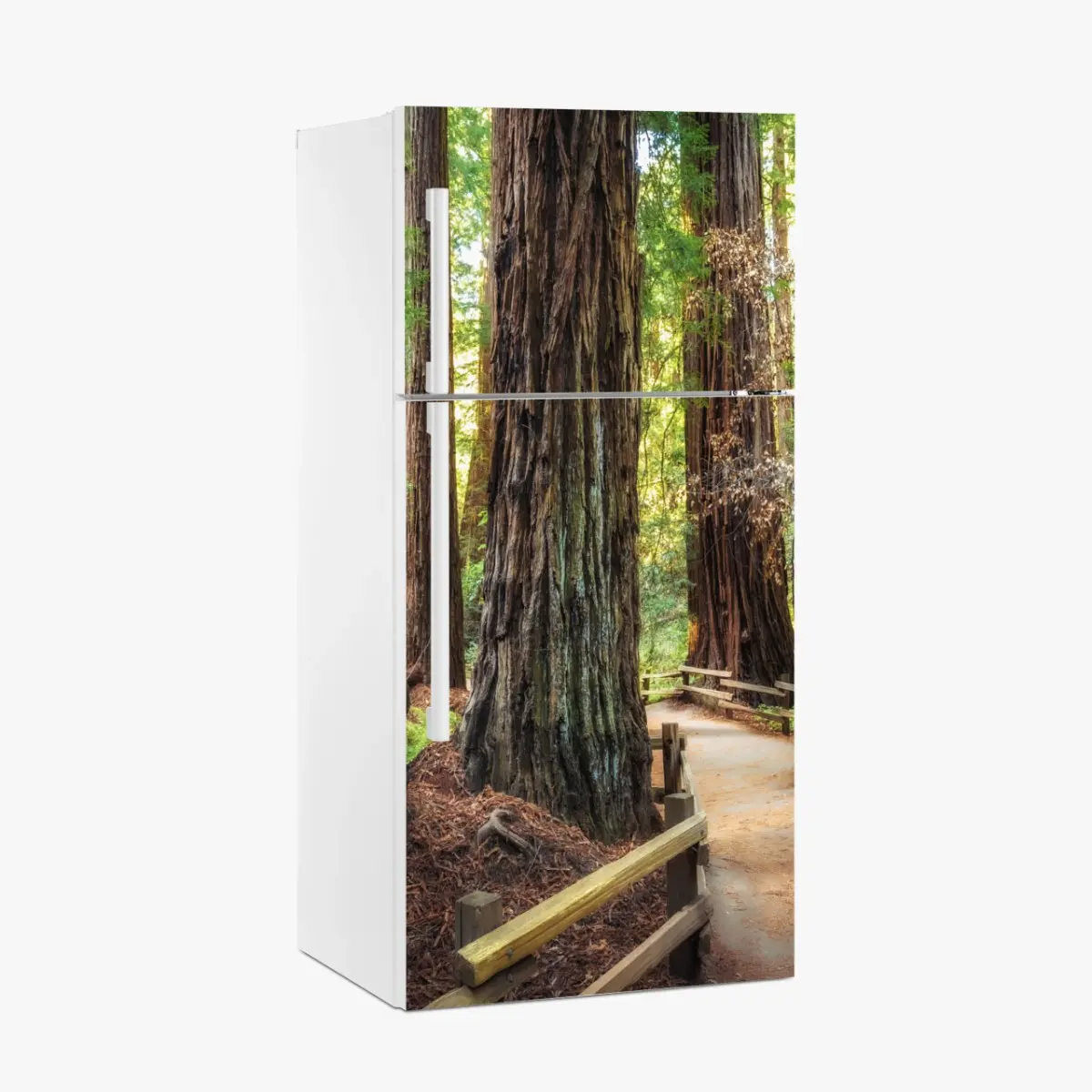Adesivo per frigorifero sentiero tra le maestose sequoie • Wallissimo®