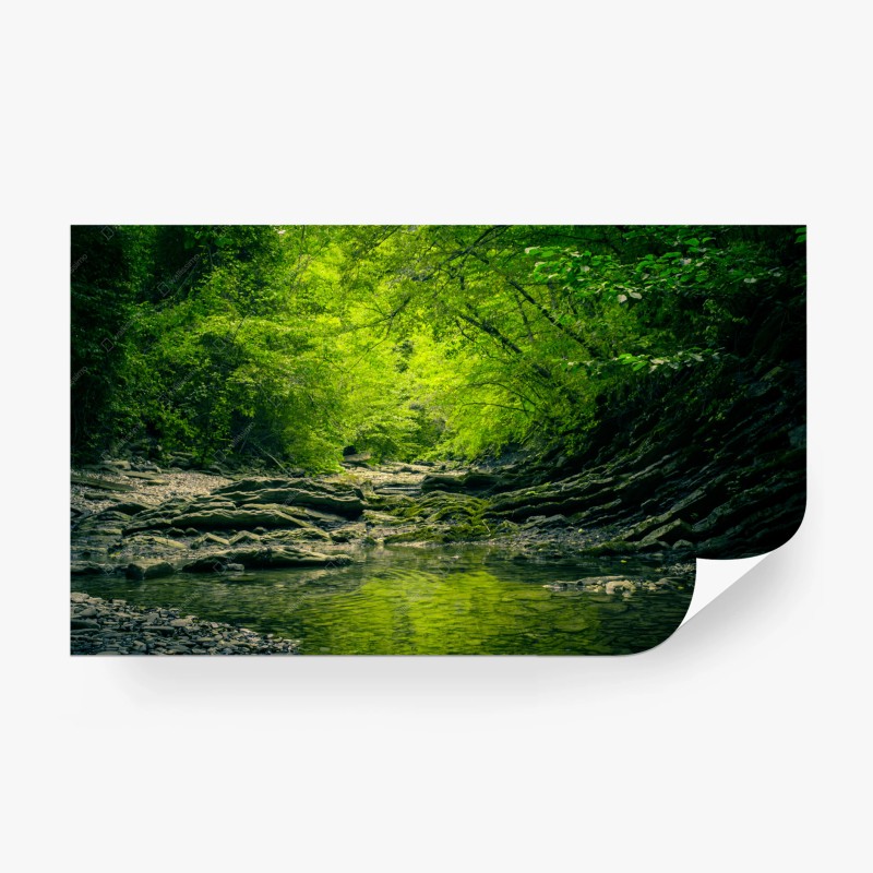Carta da parati oasi verde nel bosco