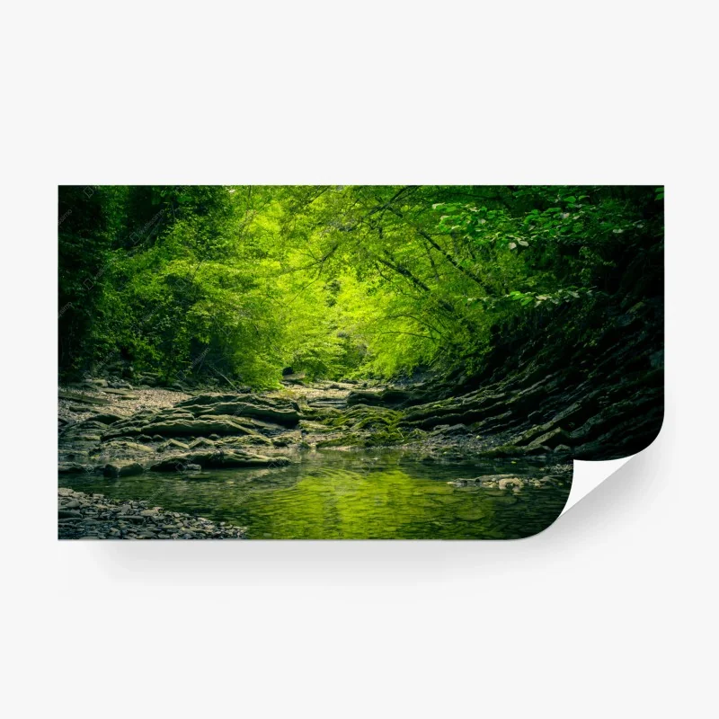 Carta da parati oasi verde nel bosco