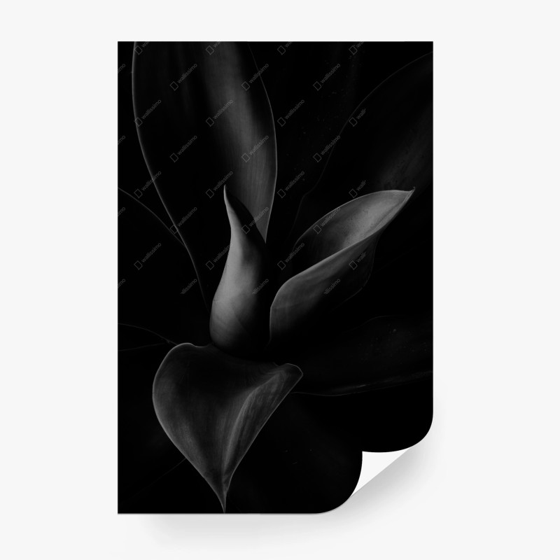 Carta da parati eleganza botanica in bianco e nero
