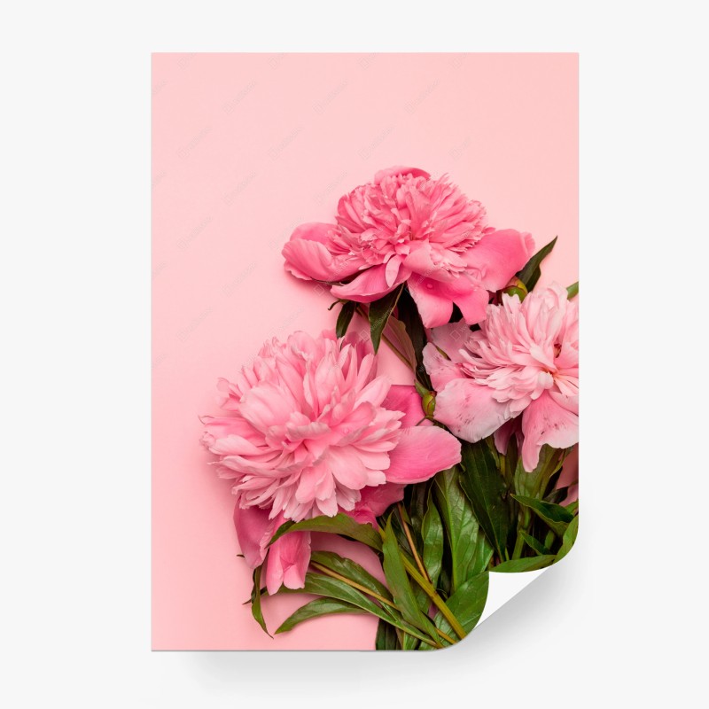 Carta da parati peonie rosa su sfondo pastello