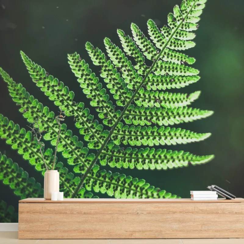 Carta da parati felce verde su sfondo scuro