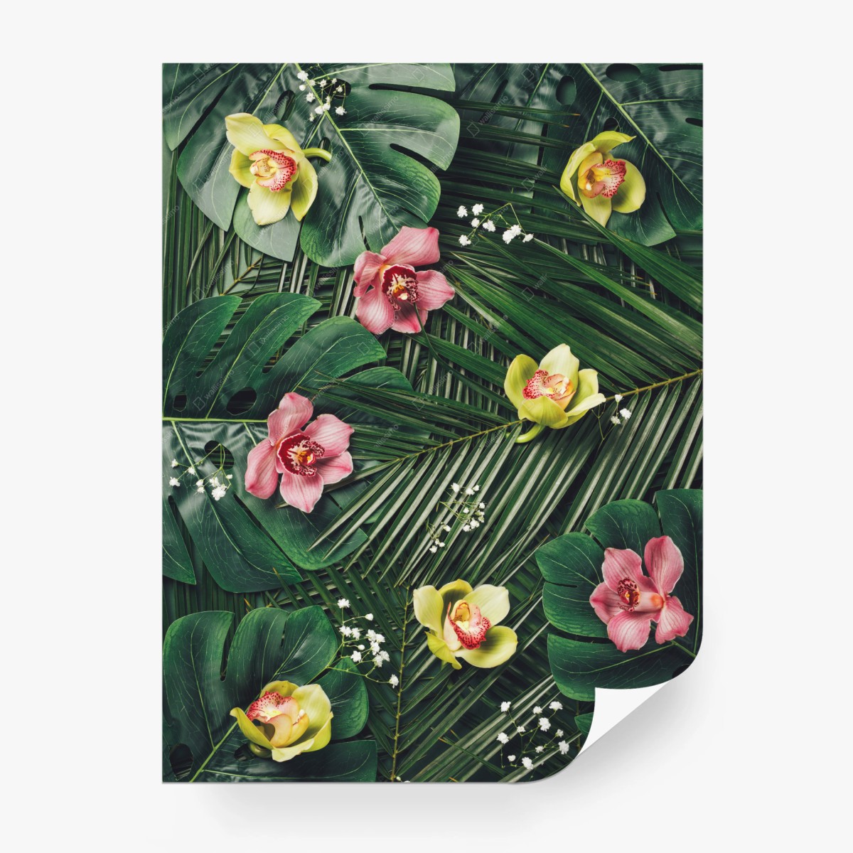 Carta da parati motivo tropicale con orchidee e foglie • Wallissimo®