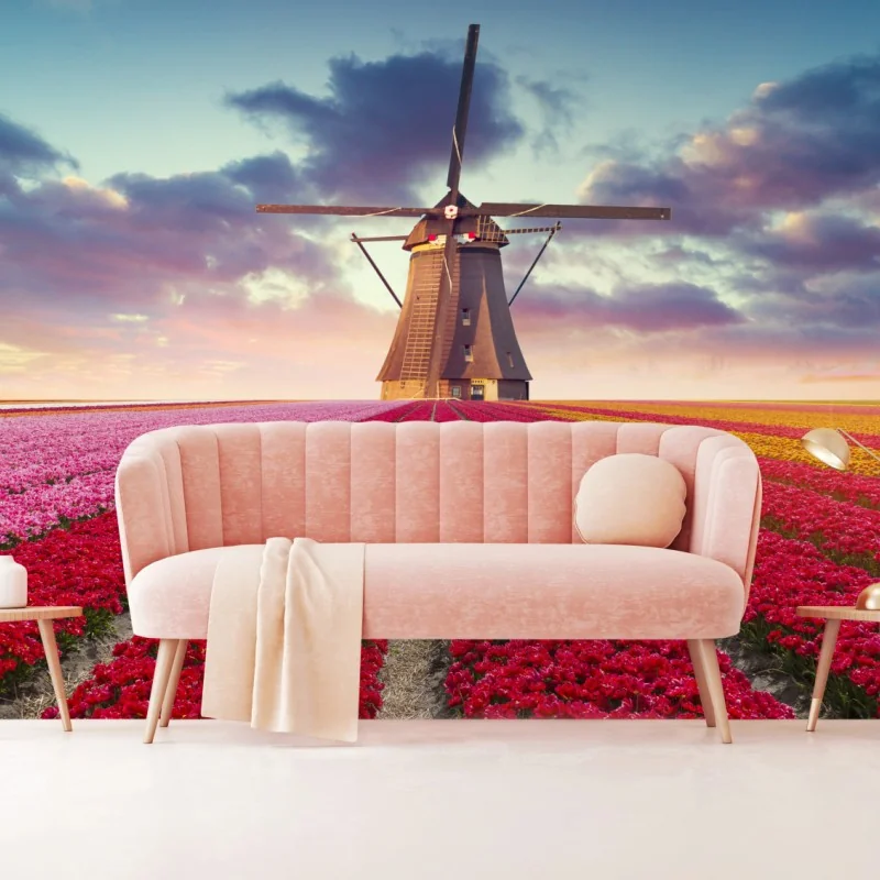 Carta da parati mulino tra campi di tulipani al tramonto