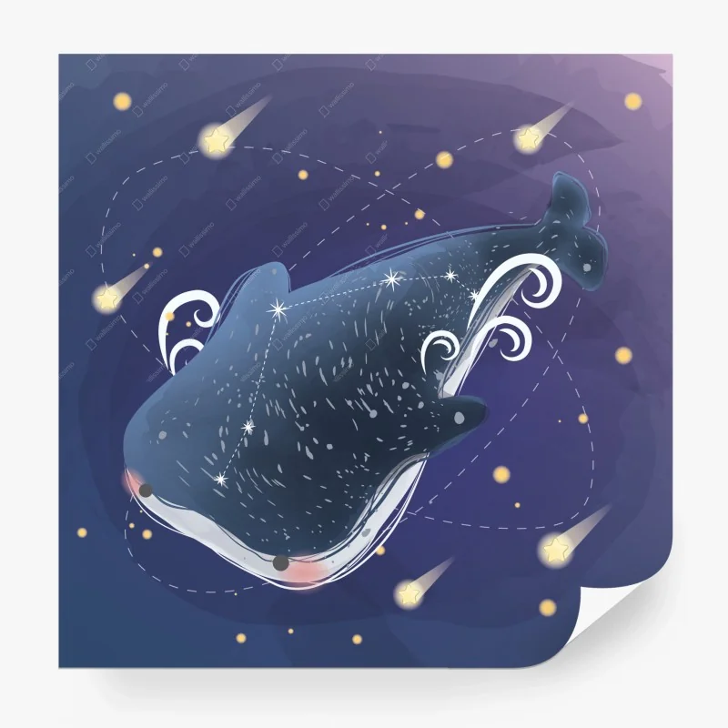 Carta da parati balena stellata nel cielo notturno • Wallissimo® Carta da parati balena stellata nel cielo notturno • Wallissimo®