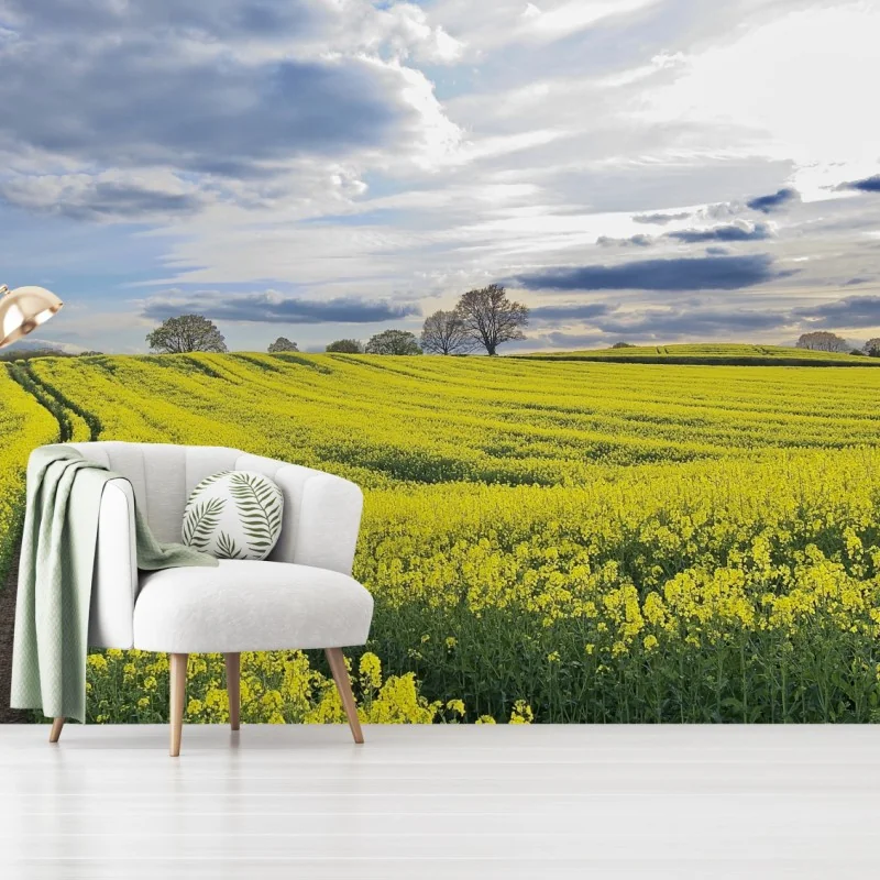 Carta da parati campo di colza sotto un cielo ampio