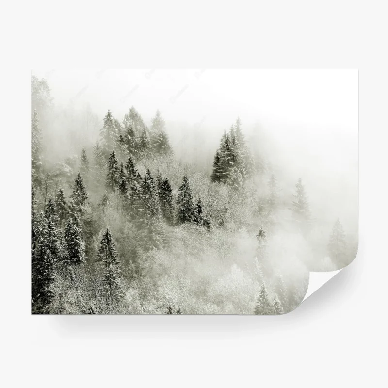 Carta da parati foresta invernale avvolta nella nebbia