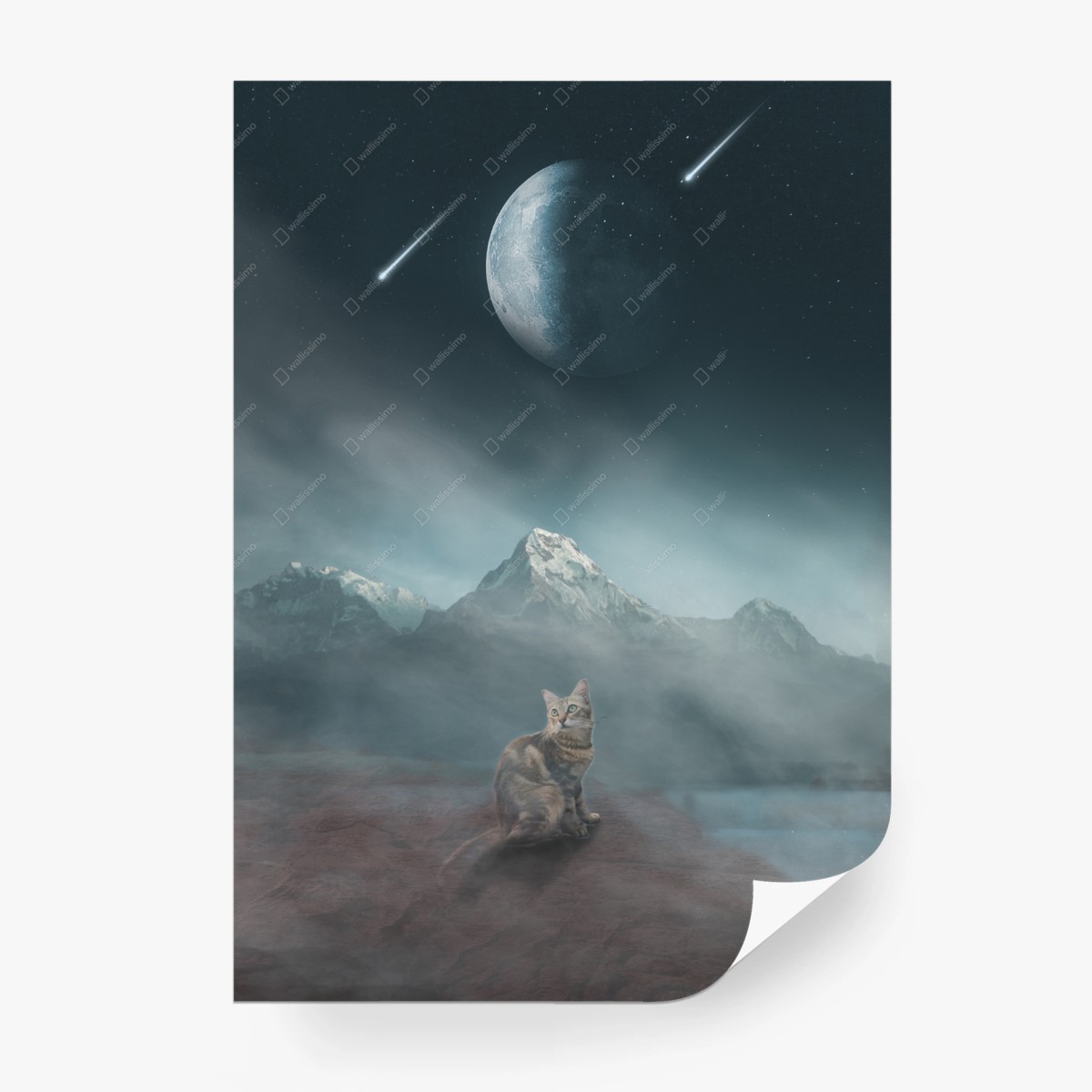 Carta da parati gatto sotto la luna cosmica • Wallissimo® Carta da parati gatto sotto la luna cosmica • Wallissimo®