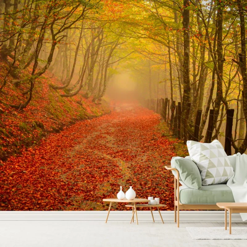 Carta da parati sentiero d'autunno tra gli alberi