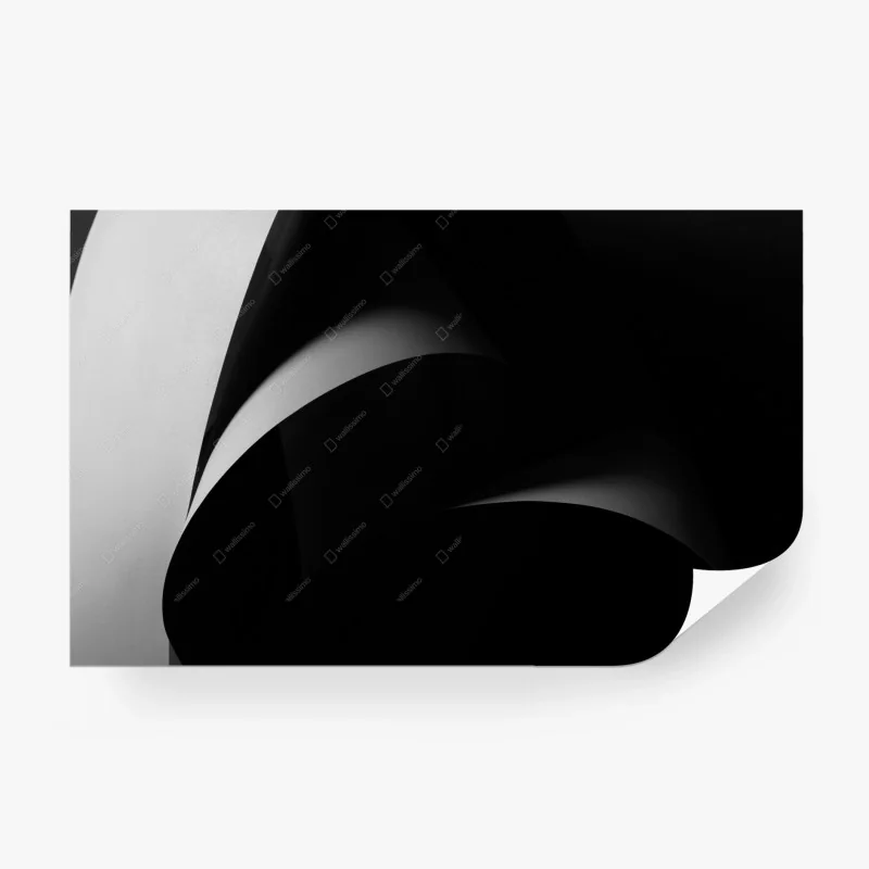 Carta da parati curve astratte in bianco e nero