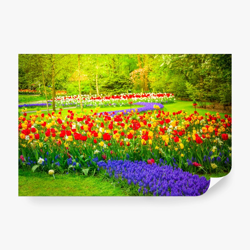 Carta da parati giardino primaverile a colori