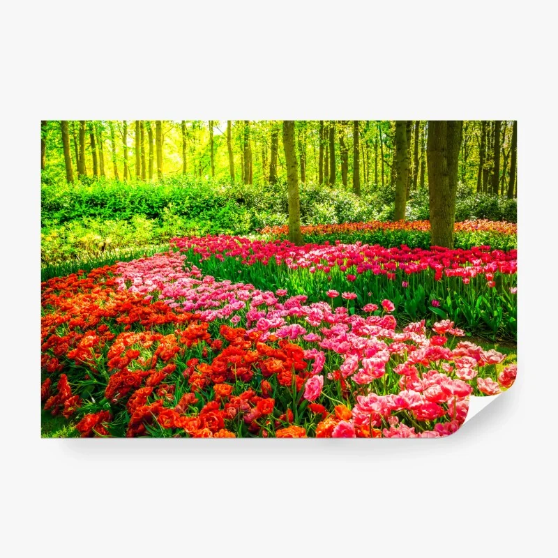 Carta da parati tappeto di tulipani nel bosco primaverile
