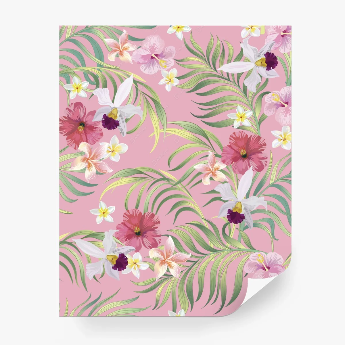 Carta da parati motivo floreale tropicale su sfondo rosa • Wallissimo® Carta da parati motivo floreale tropicale su sfondo rosa • Wallissimo®