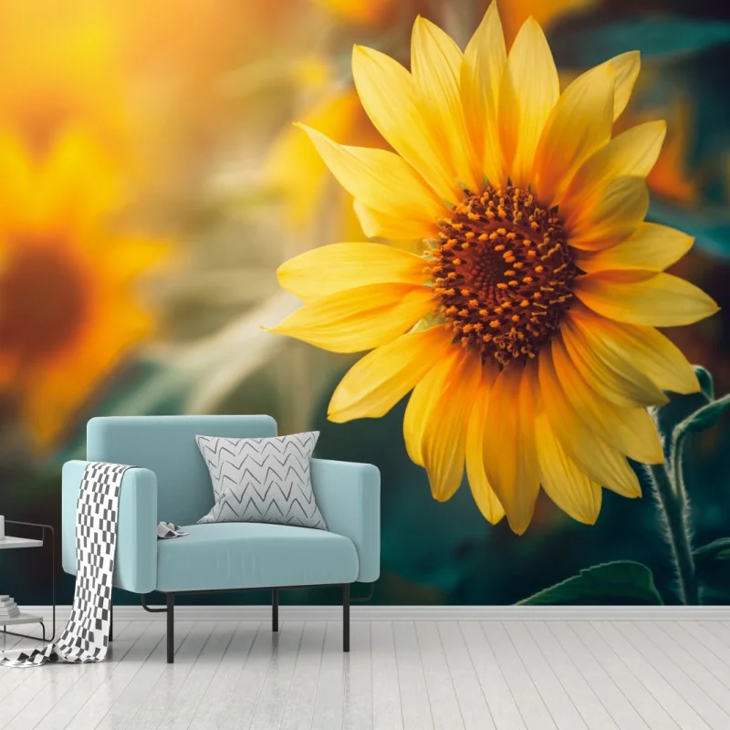 Carta da parati mattina dorata tra i girasoli