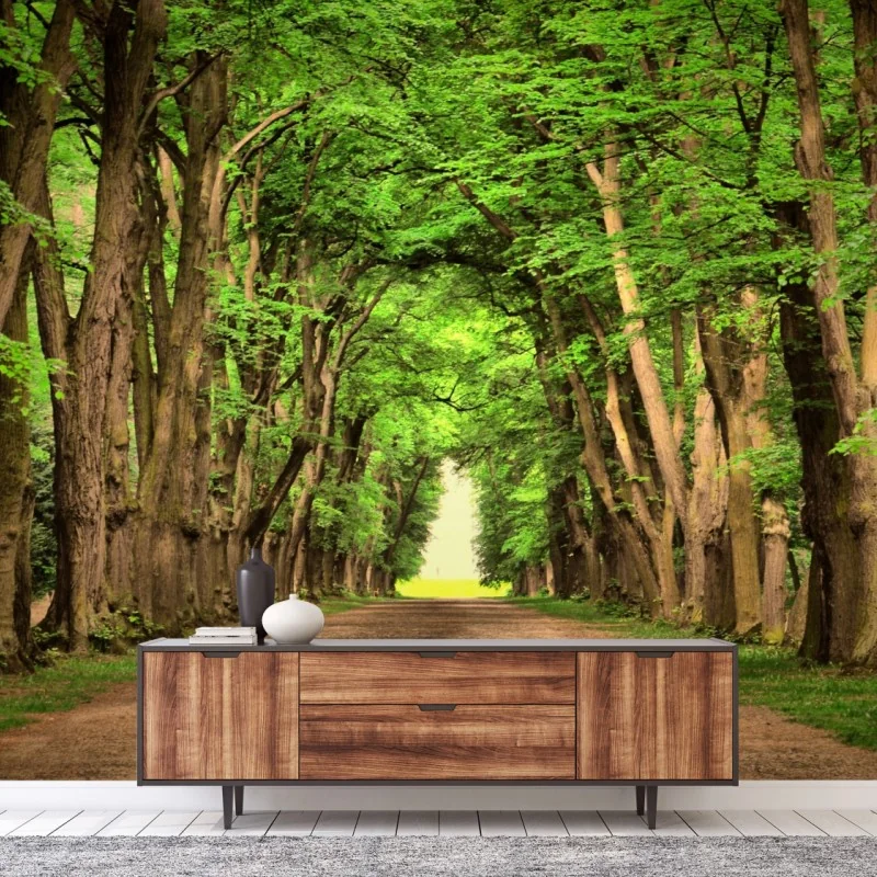 Carta da parati viale alberato verso la luce