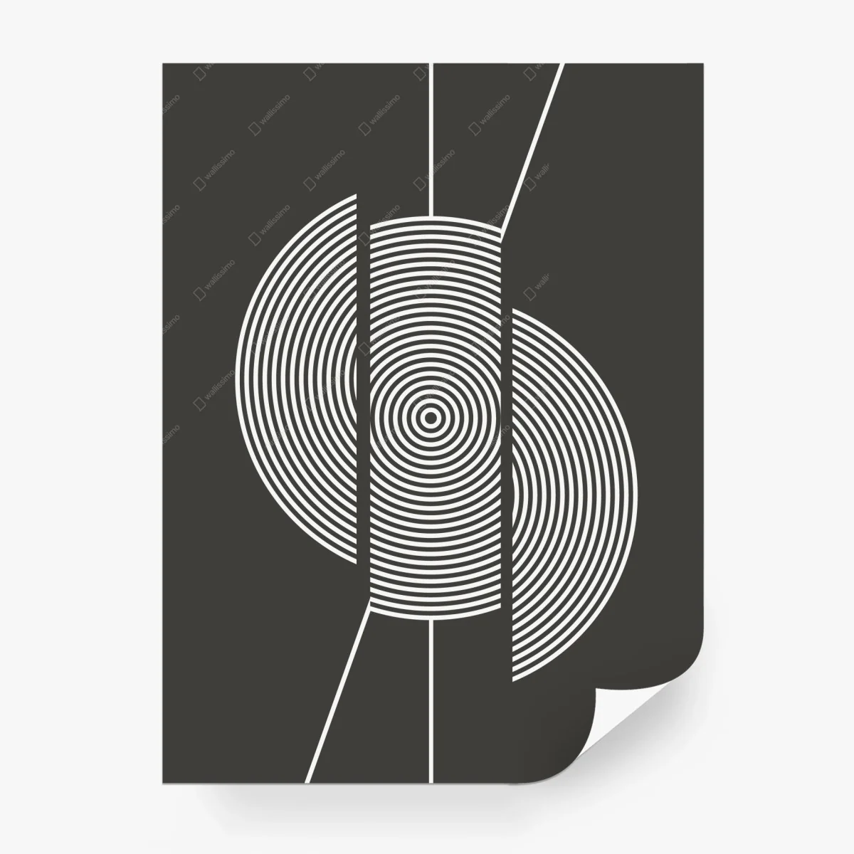 Carta da parati cerchi concentrici minimalisti su sfondo scuro • Wallissimo®