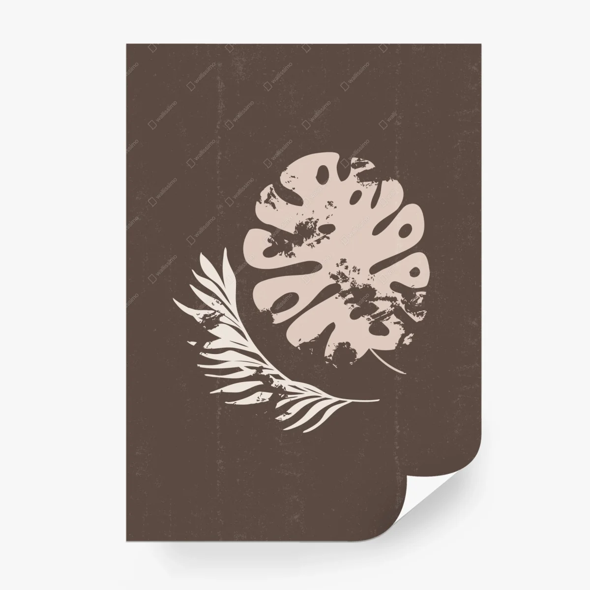 Carta da parati composizione botanica minimalista con monstera • Wallissimo® Carta da parati composizione botanica minimalista con monstera • Wallissimo®