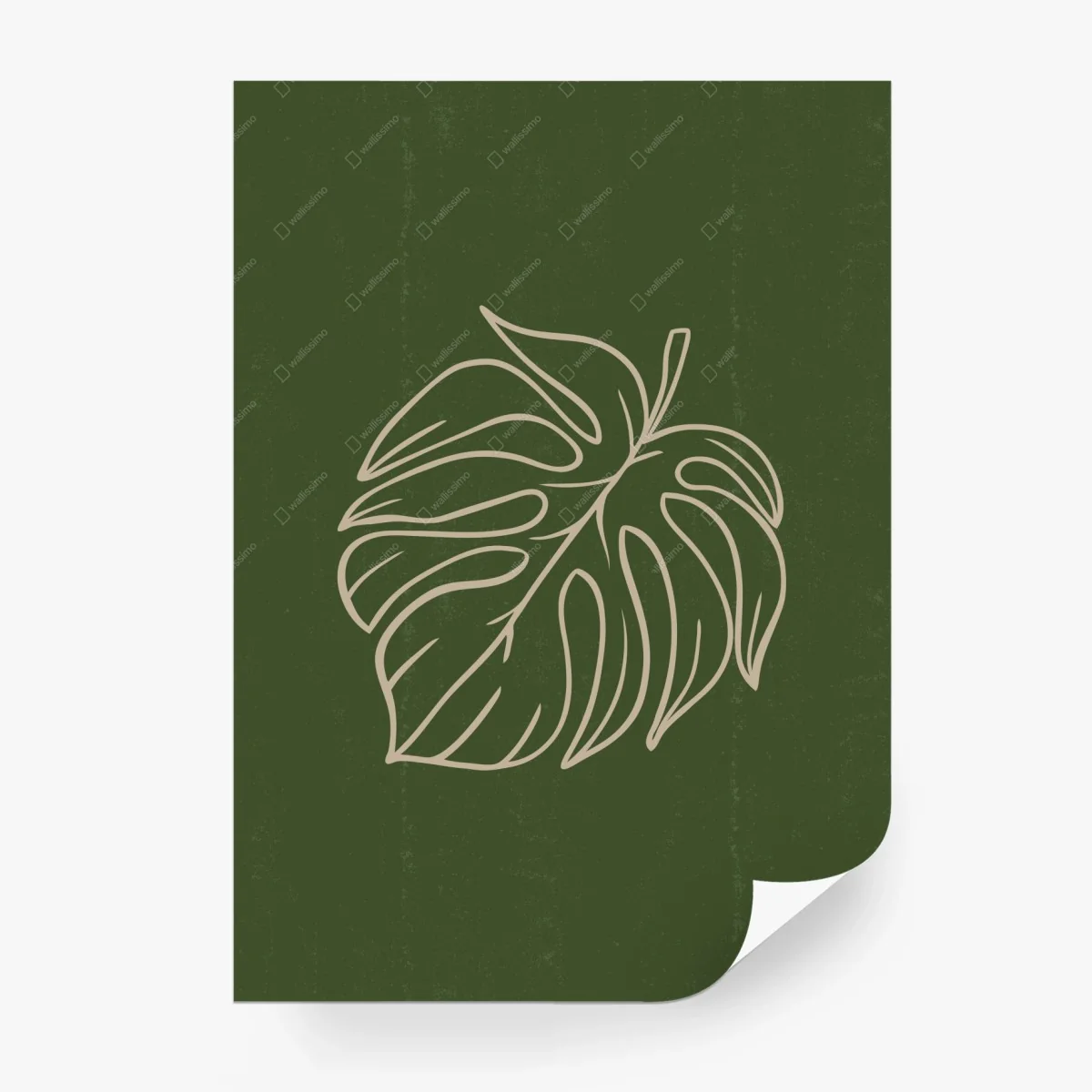 Carta da parati foglia di monstera minimalista su sfondo verde • Wallissimo® Carta da parati foglia di monstera minimalista su sfondo verde • Wallissimo®