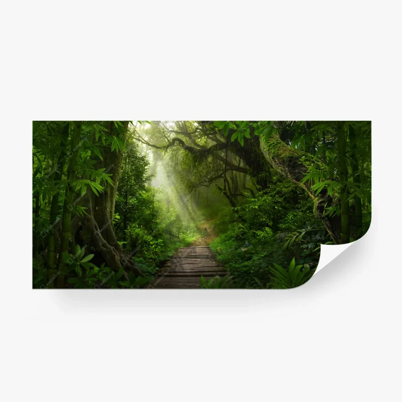 Carta da parati sentiero incantato nella foresta