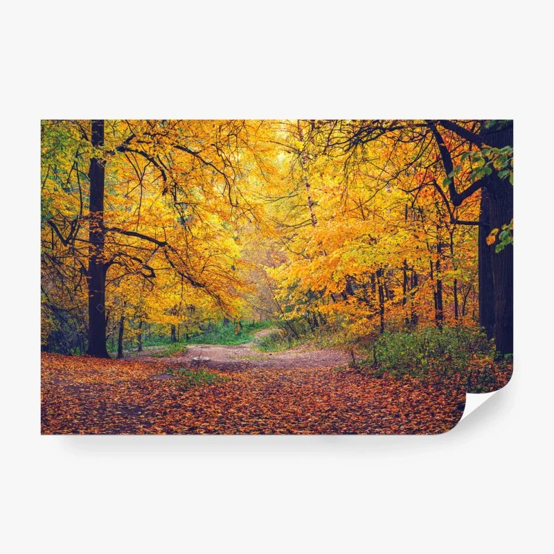 Carta da parati sentiero dorato nel bosco autunnale