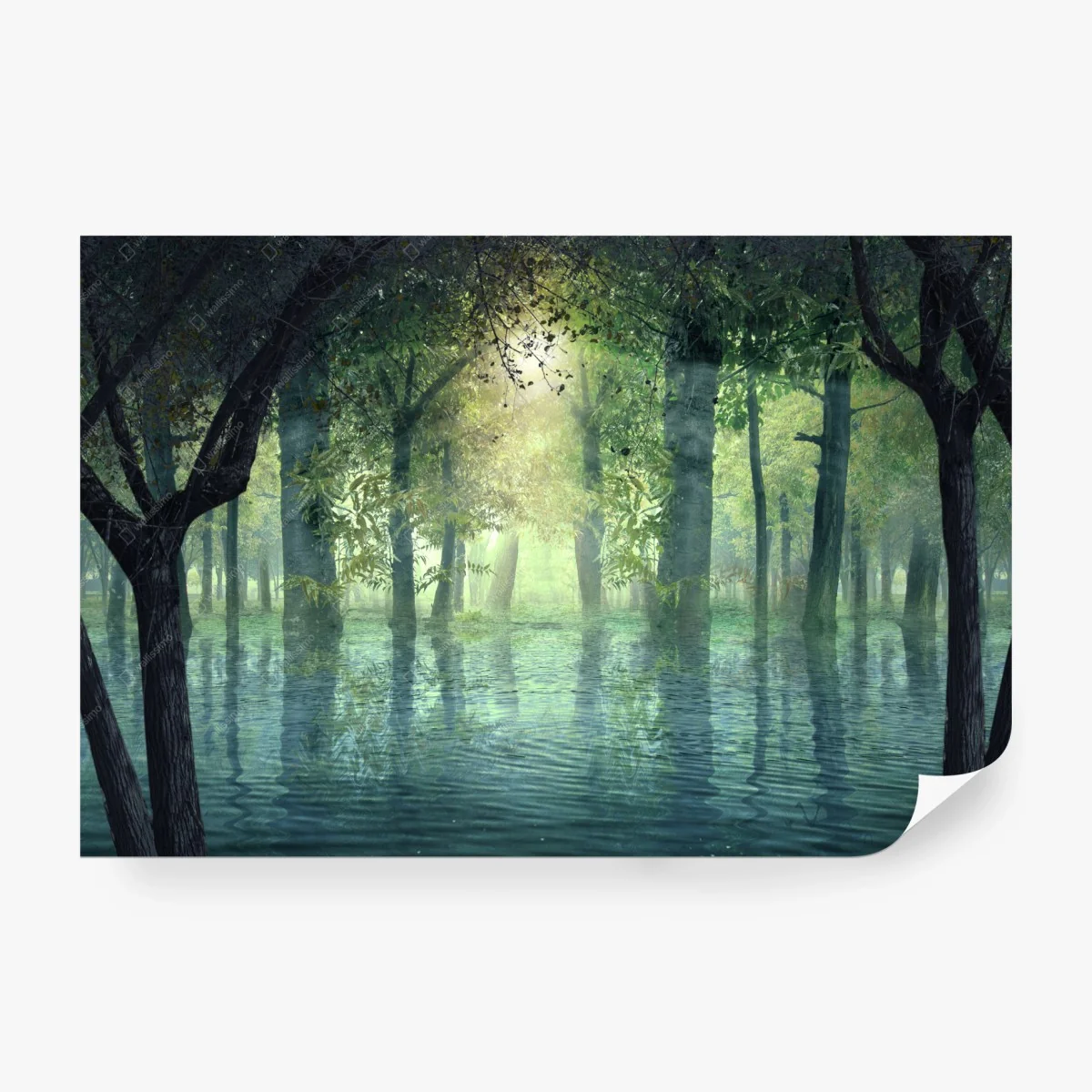 Carta da parati foresta sommersa al bagliore del mattino • Wallissimo®
