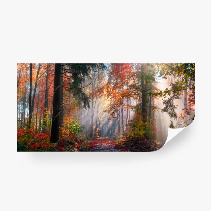 Carta da parati foresta autunnale incantata