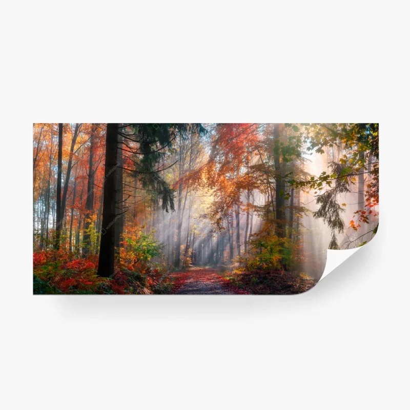 Carta da parati foresta autunnale incantata • Wallissimo® Carta da parati foresta autunnale incantata • Wallissimo®
