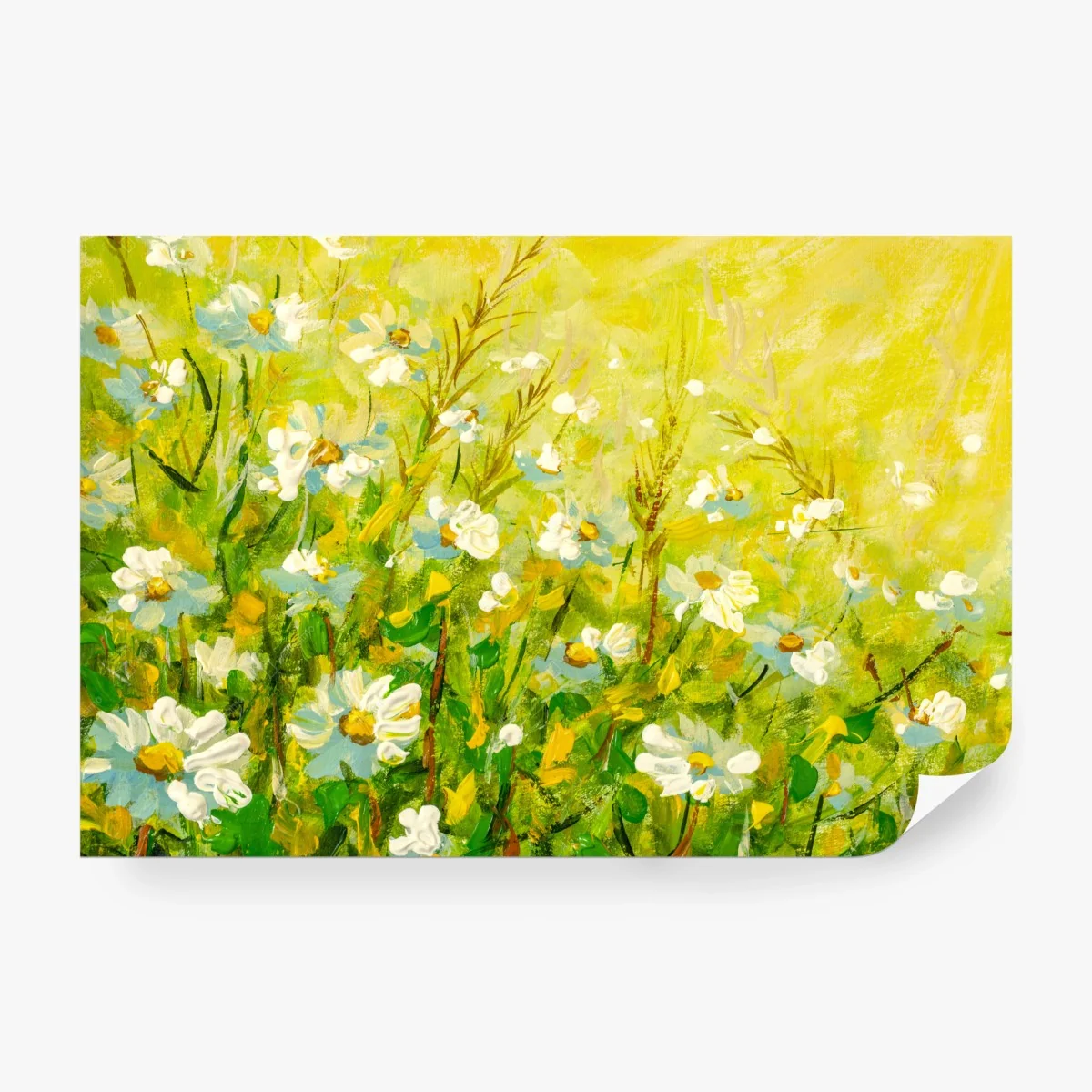 Carta da parati margherite estive su sfondo giallo • Wallissimo® Carta da parati margherite estive su sfondo giallo • Wallissimo®