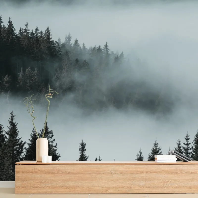 Carta da parati foresta avvolta nella nebbia